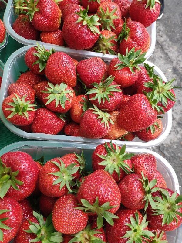 Bio Erdbeeren Görlitz - Wochenmarkt 2