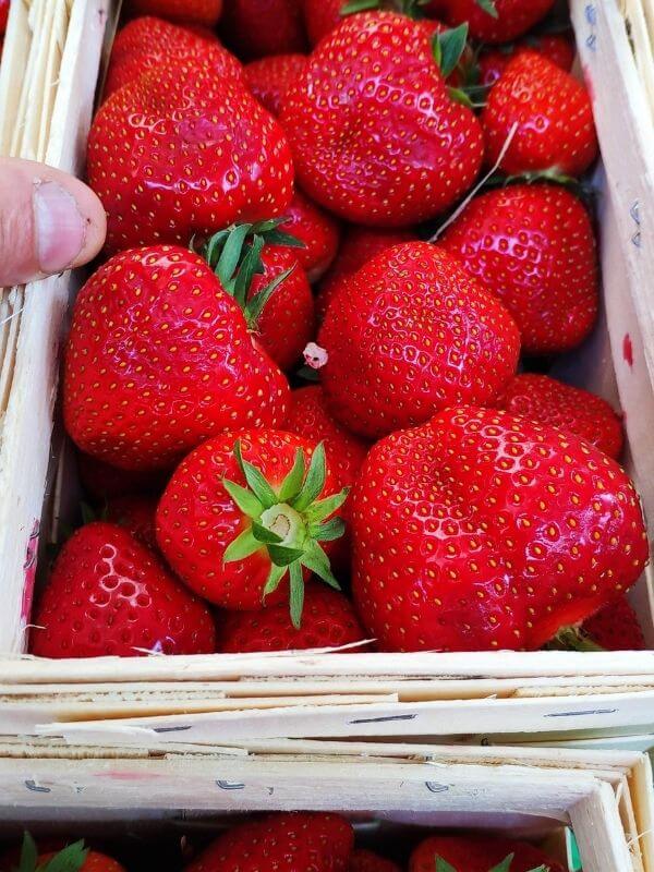 Bio Erdbeeren Görlitz - Wochenmarkt frische Grmüse und Obst kaufen