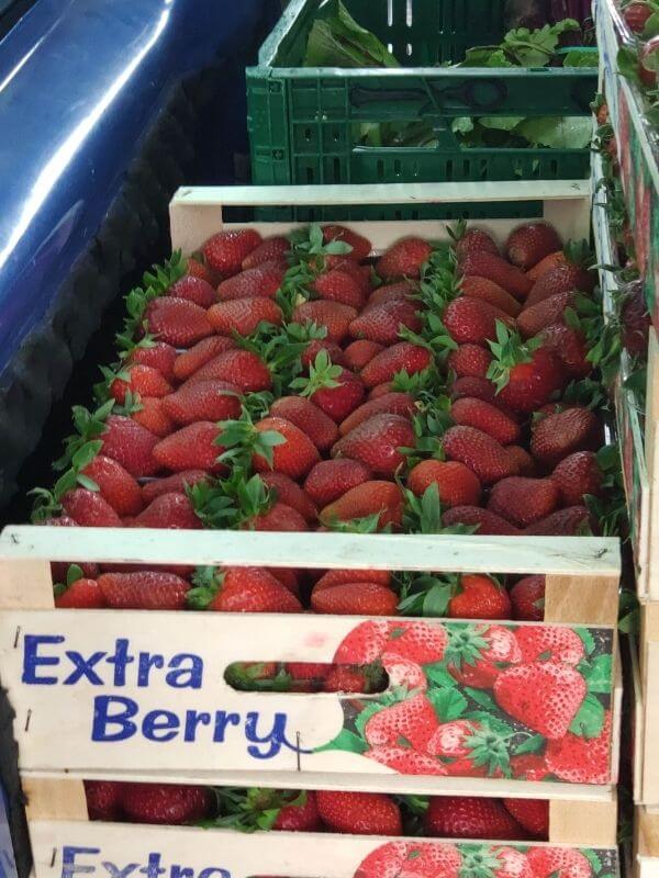 Bio Erdbeeren Görlitzer Wochenmarkt 1