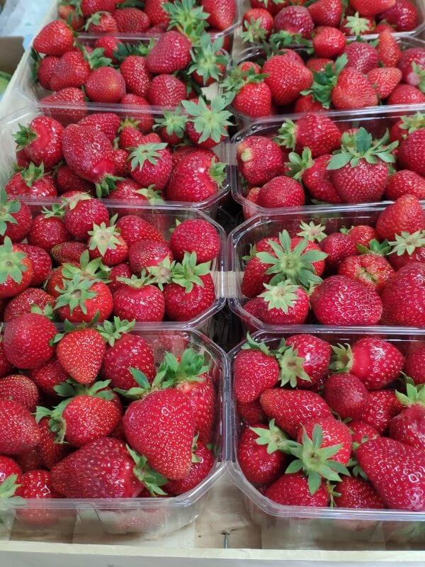 Bio Erdbeeren Görlitzer Wochenmarkt 2