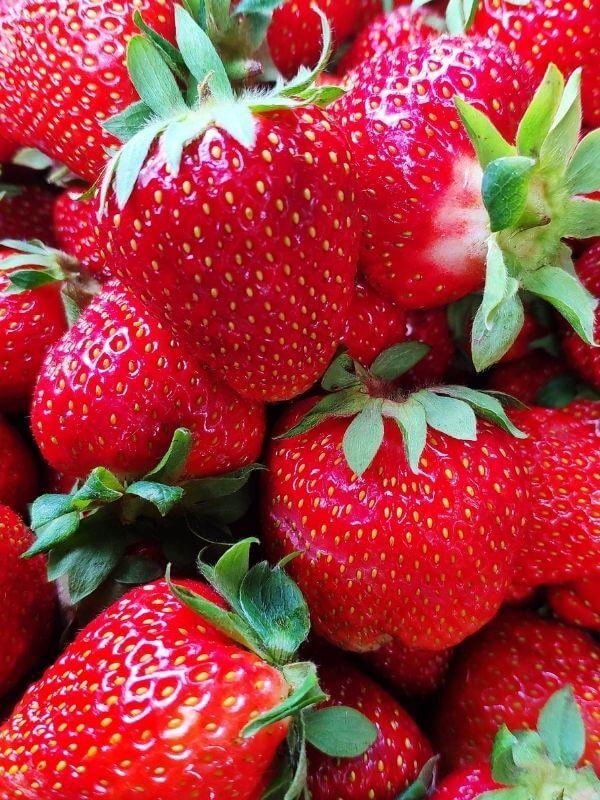 Frische Bio Erdbeeren Verkauf in Görlitz 1