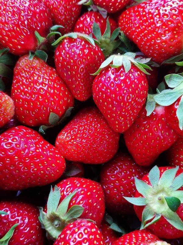 Frische Bio Erdbeeren Verkauf in Görlitz