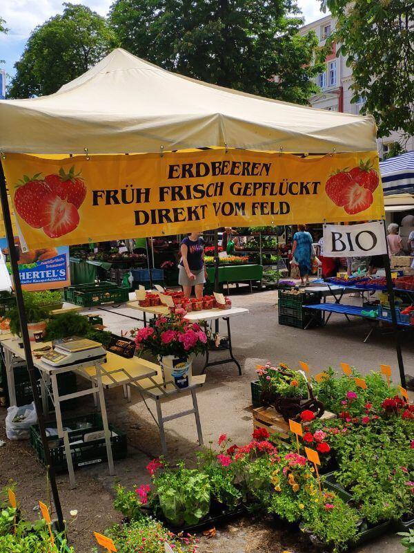 Frische Blumen, Gemüse und Obst - Görlitz