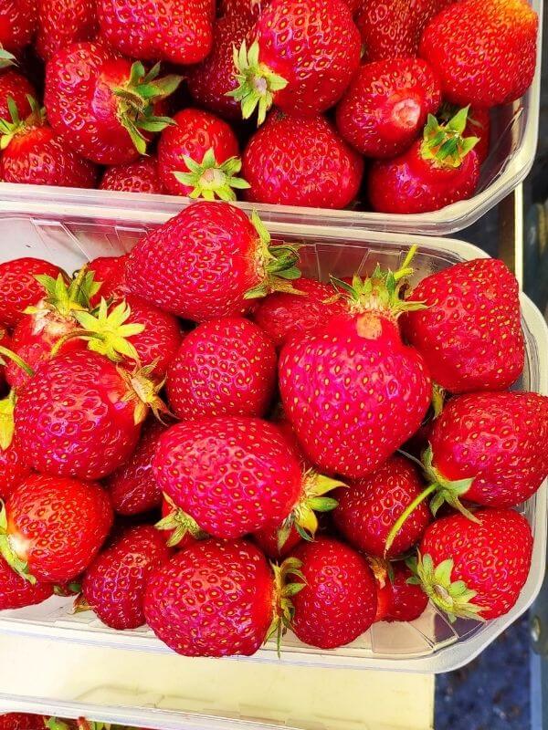 Frisches Obst Görlitz - Wochenmarkt - bio Erdbeeren