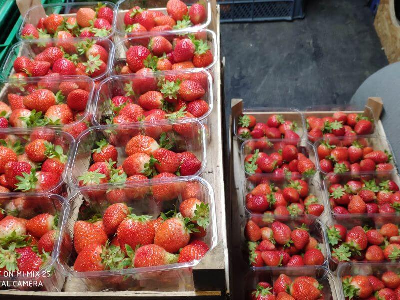 Görlitz Erdbeeren Verkauf 1