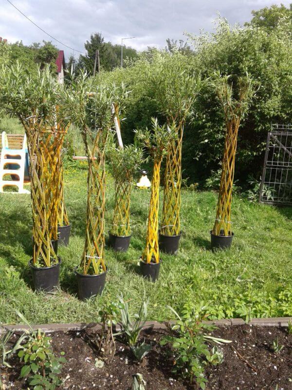 Görlitz Wochenmarkt - Garten Dekoration Verkauf 1