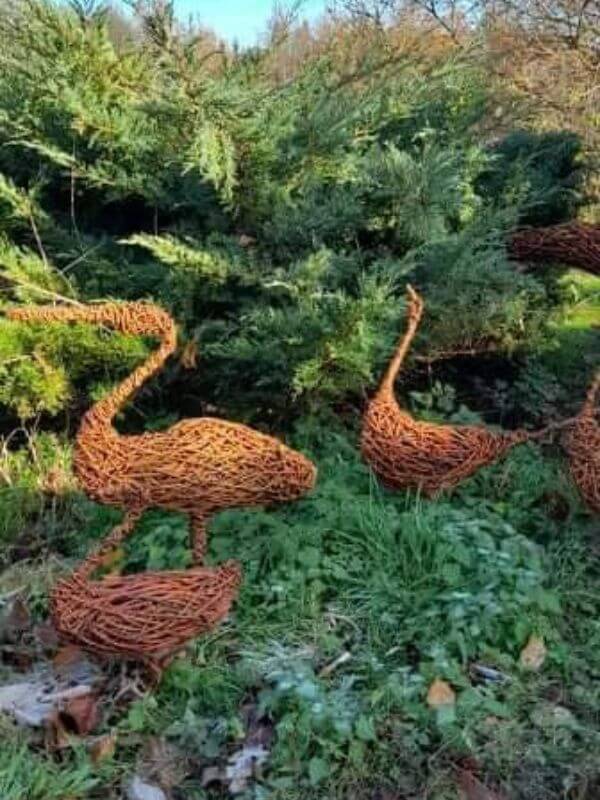 Görlitz Wochenmarkt - Garten Dekoration Verkauf 6