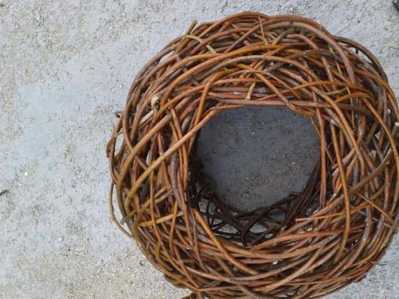 Görlitz Wochenmarkt - Garten Dekoration Verkauf