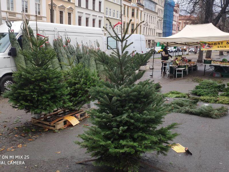 Görlitz Wochenmarkt Tannenbaum Verkauf