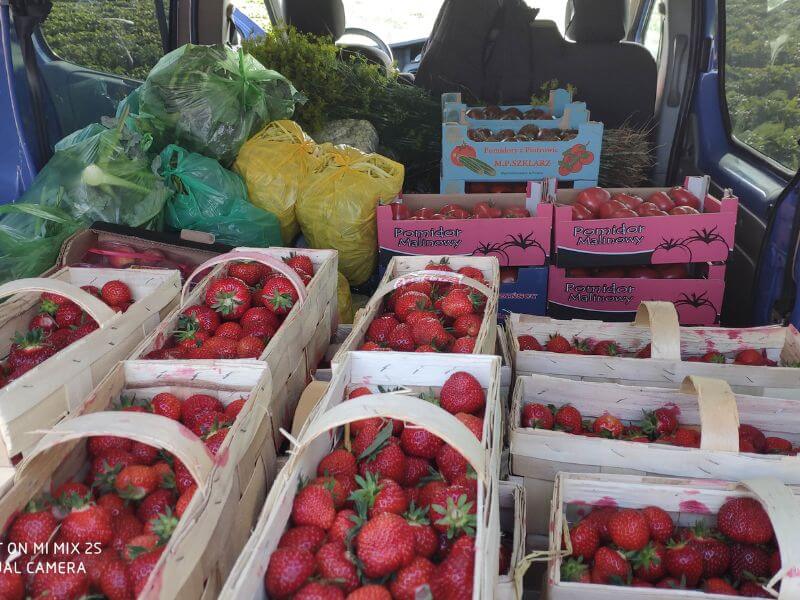 Görlitz Wochenmarkt - frische Erdbeeren 1