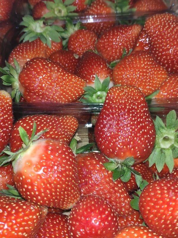 Görlitz Wochenmarkt - frische Erdbeeren