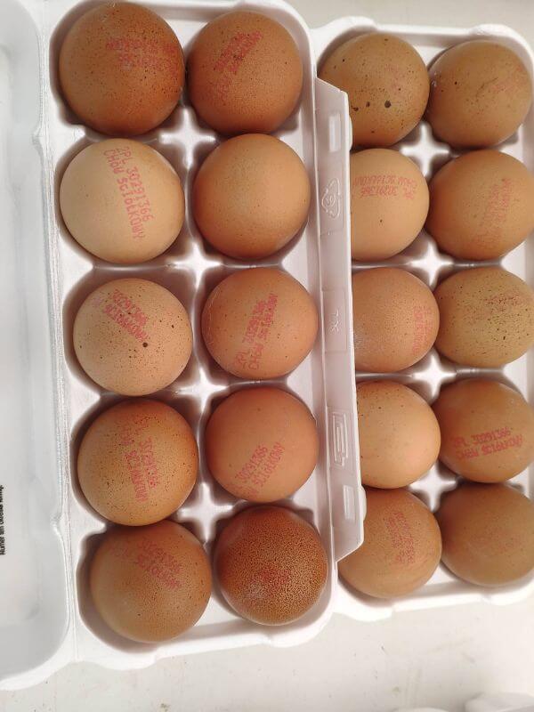 Görlitz Wochenmarkt - frische bio Eier Verkauf