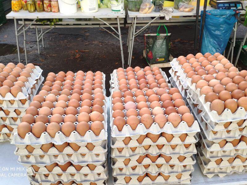 Görlitz Wochenmarkt - frische bio Eier