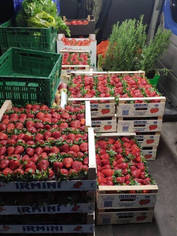 Görlitz Wochenmarkt frisches Obst - bio Erdbeeren 1
