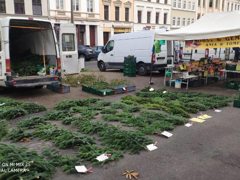Görlitz Zweige, Tannen Verkauf