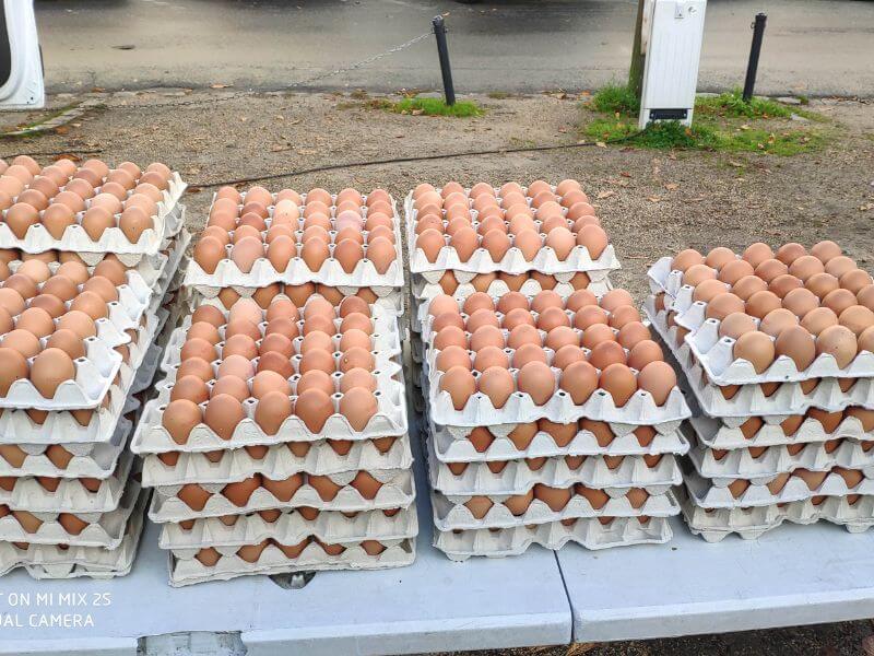 Görlitz frische Eier Verkauf - Wochenmarkt