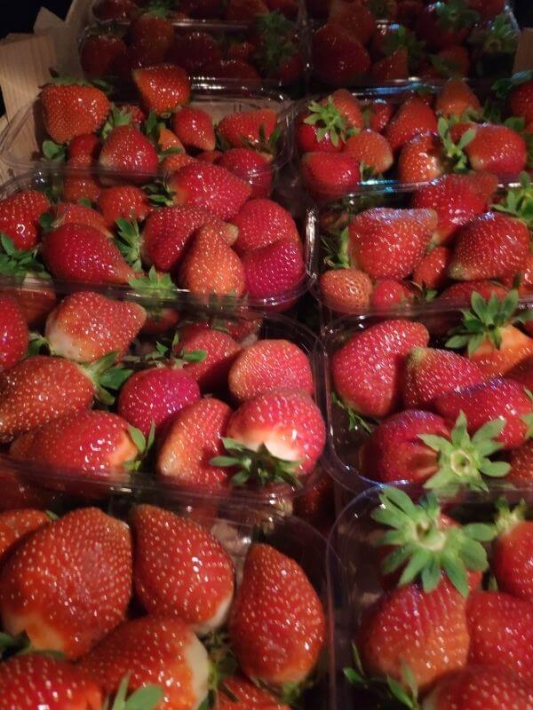 Görlitz frische Erdbeeren Wochenmarkt 3