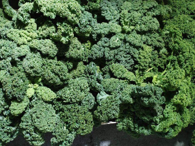 Görlitz - frisches Gemüse und Obst - Grünkohl