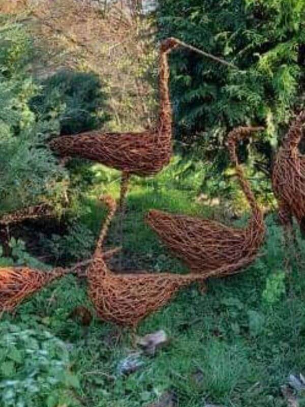 Görlitzer Wochenmarkt - Garten Dekoration Görlitz 9