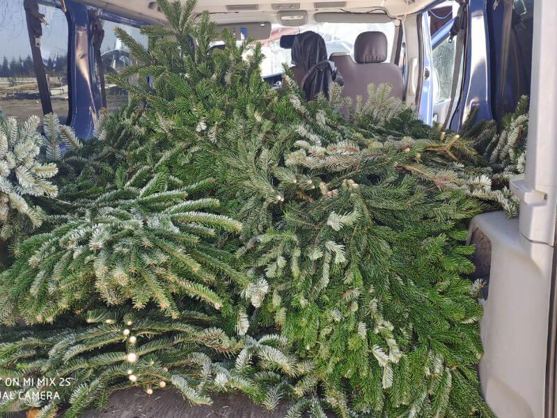 Görlitzer Wochenmarkt Zweige kaufen