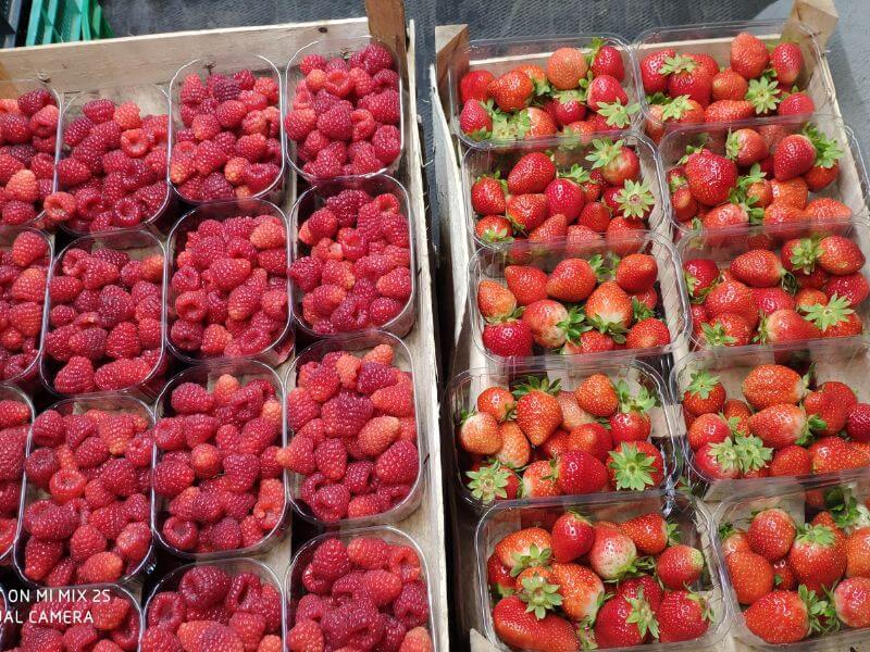 Görlitzer Wochenmarkt frische Erdbeeren