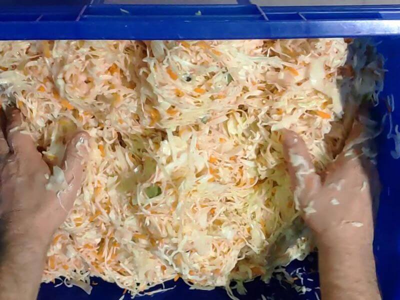 Görlitzer Wochenmarkt - frische selbstgemachte Produkte - Sauerkraut