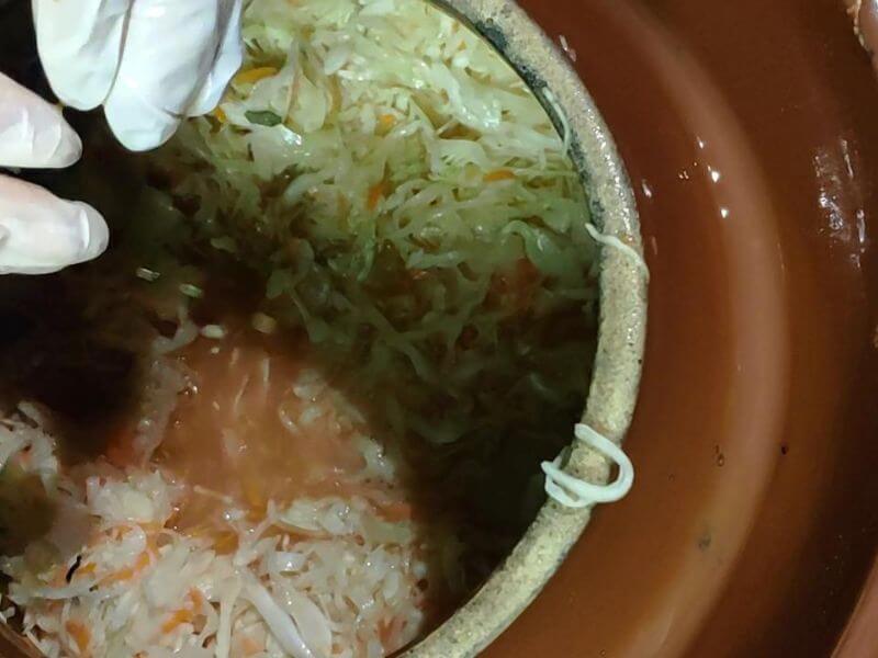 Görlitzer Wochenmarkt - selbstgemachte Produkte - Sauerkraut hausgemacht