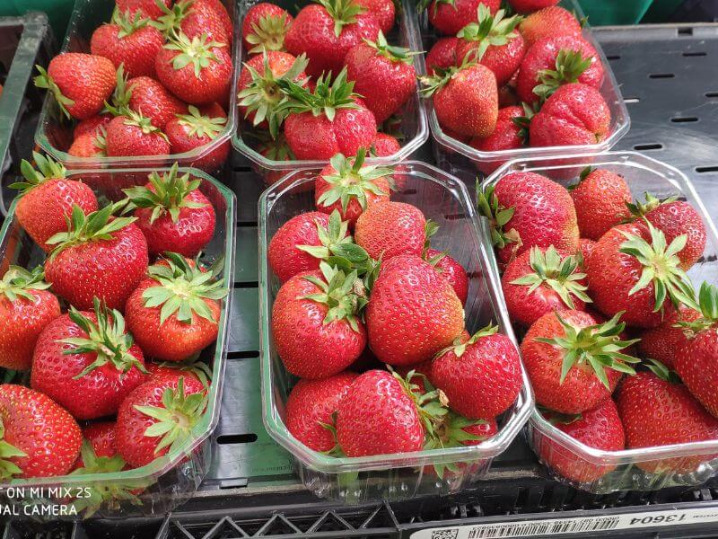 Obst Wochenmarkt Görlitz - Erdbeeren 1