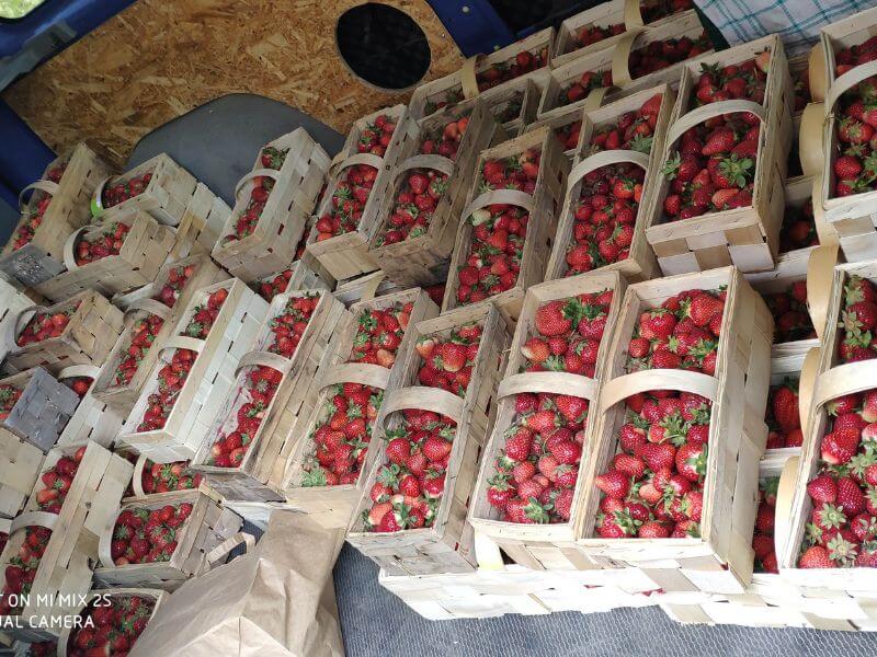 Obst Wochenmarkt Görlitz - Erdbeeren 3