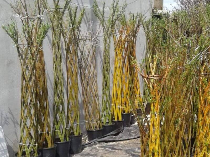 Wochanmarkt Görlitz - Garten Dekorationen