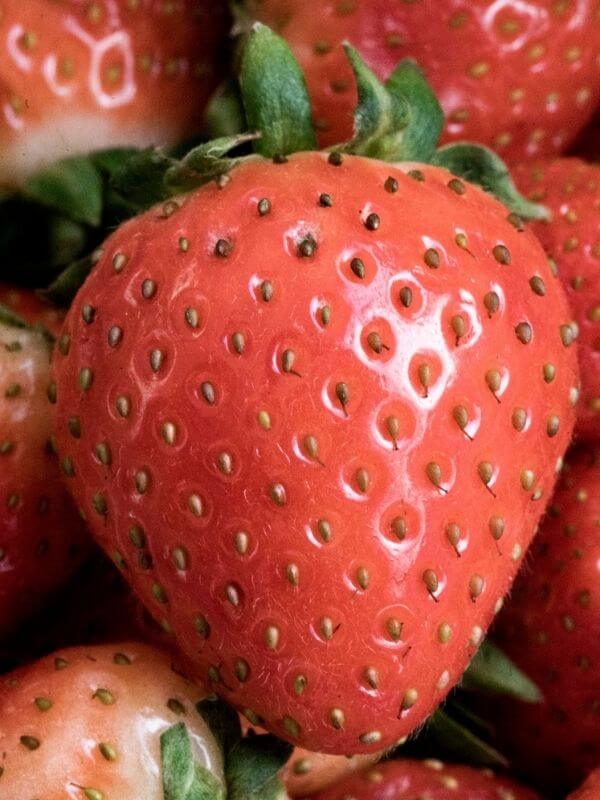 Wochenmarkt Görlitz - Bio Erdbeeren 1