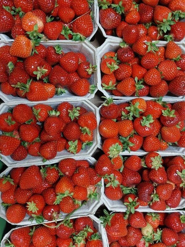 Wochenmarkt Görlitz - Bio Erdbeeren 2
