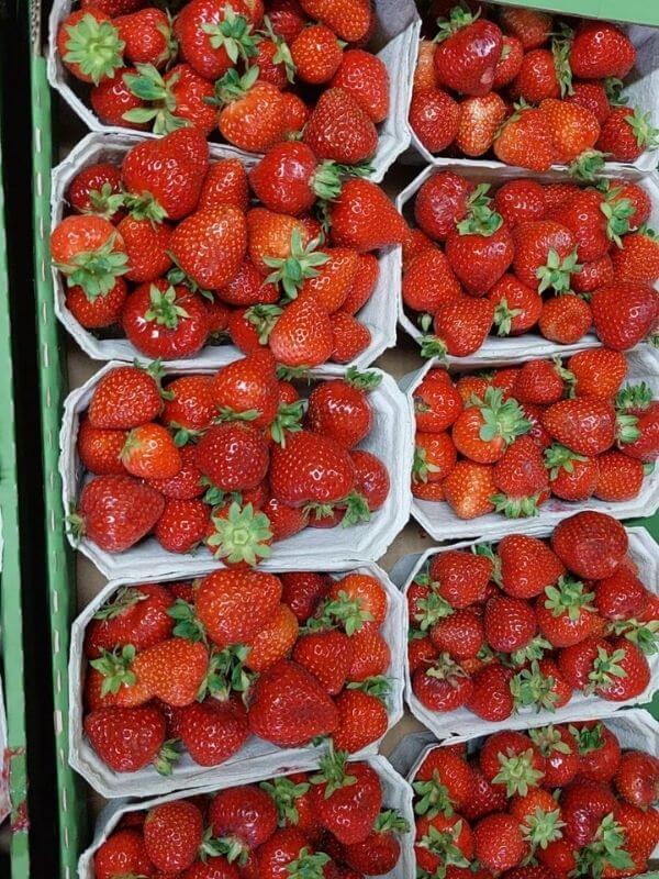 Wochenmarkt Görlitz - Bio Erdbeeren 3