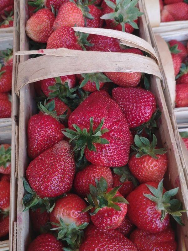 Wochenmarkt Görlitz - Bio Erdbeeren 4