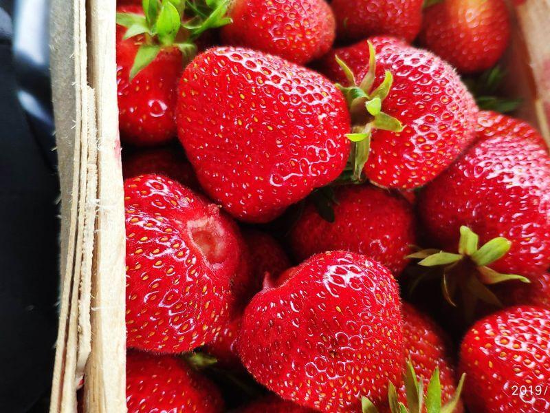 Wochenmarkt Görlitz - Erdbeeren 1