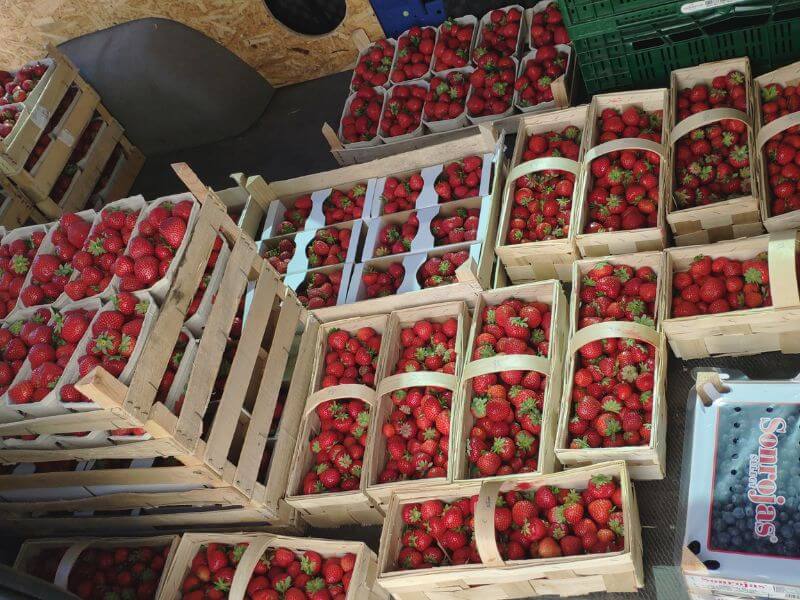Wochenmarkt Görlitz - Erdbeeren 10