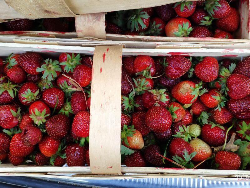 Wochenmarkt Görlitz - Erdbeeren 2