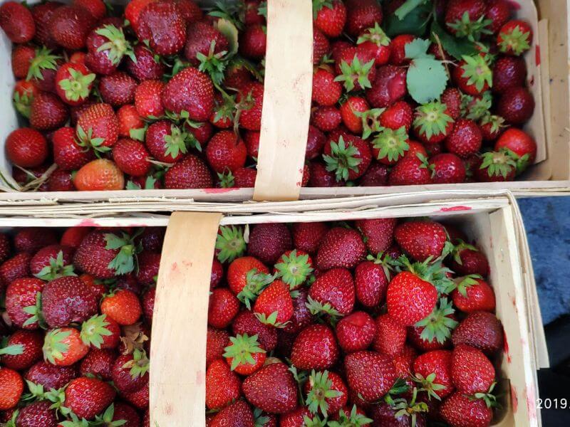 Wochenmarkt Görlitz - Erdbeeren 3