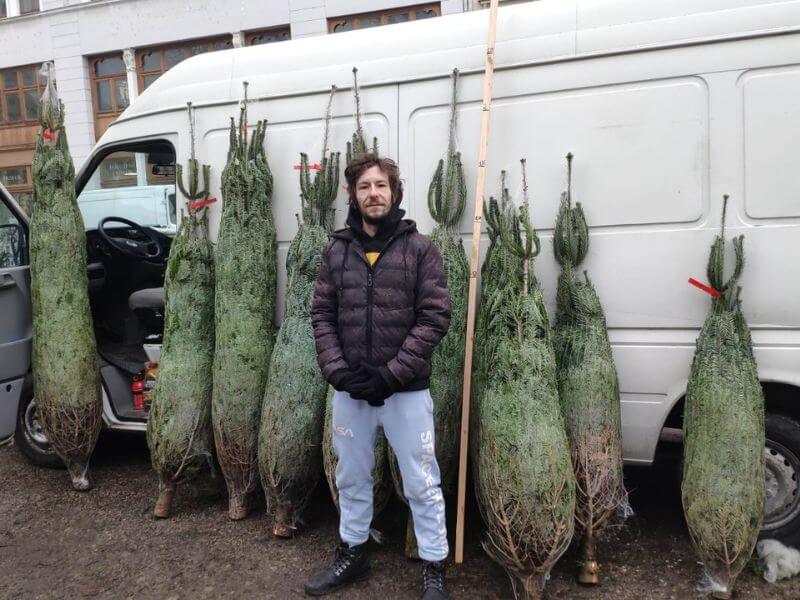 Wochenmarkt Görlitz Tannen Verkauf