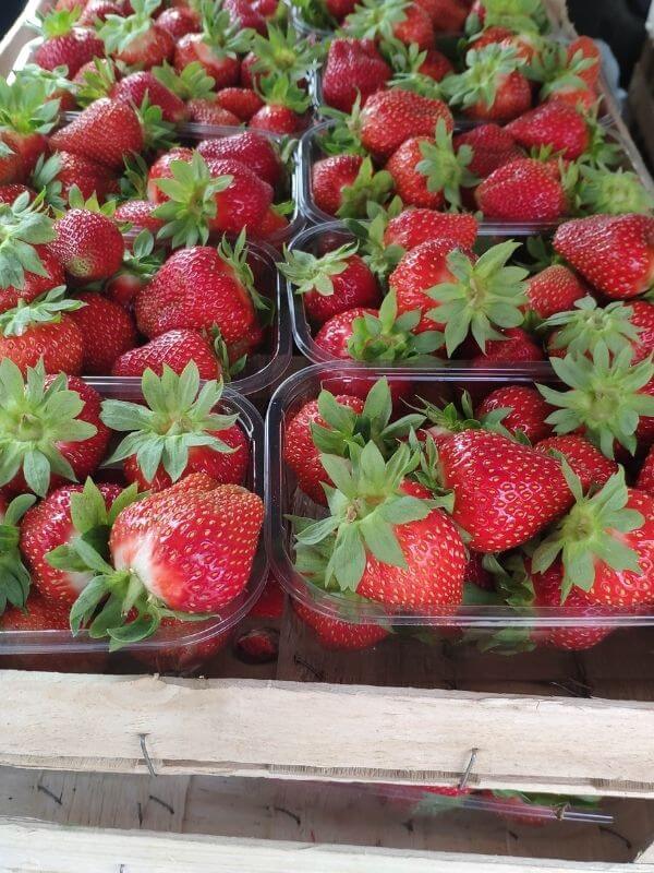 Wochenmarkt - frische Erdbeeren 5