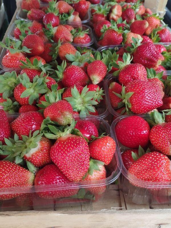 Wochenmarkt - frische Erdbeeren 6